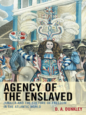 cover image of Agency of the Enslaved